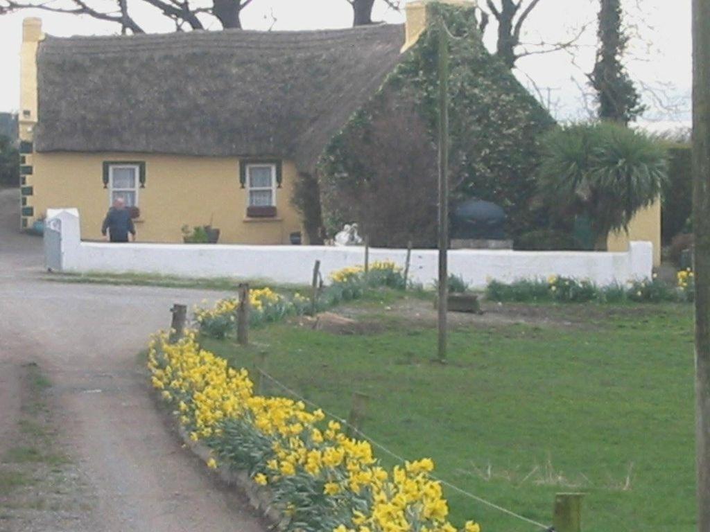 Knights Haven Bed & Breakfast Glin Exterior foto